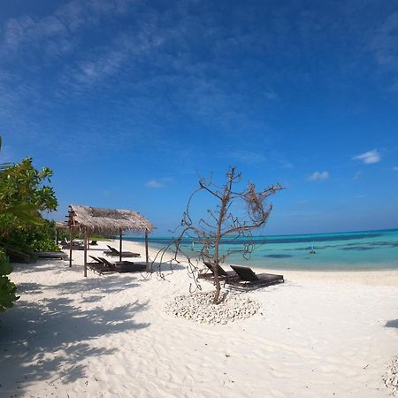 Shamar Guesthouse & Dive Maamigili Buitenkant foto