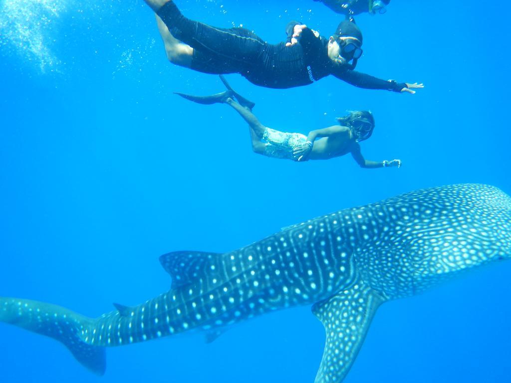 Shamar Guesthouse & Dive Maamigili Buitenkant foto